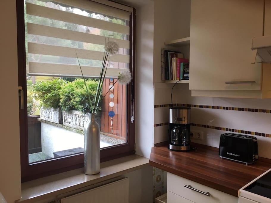 Wohnung Direkt Am Tegernsee Mit Xl-Terrasse Gmund am Tegernsee Εξωτερικό φωτογραφία
